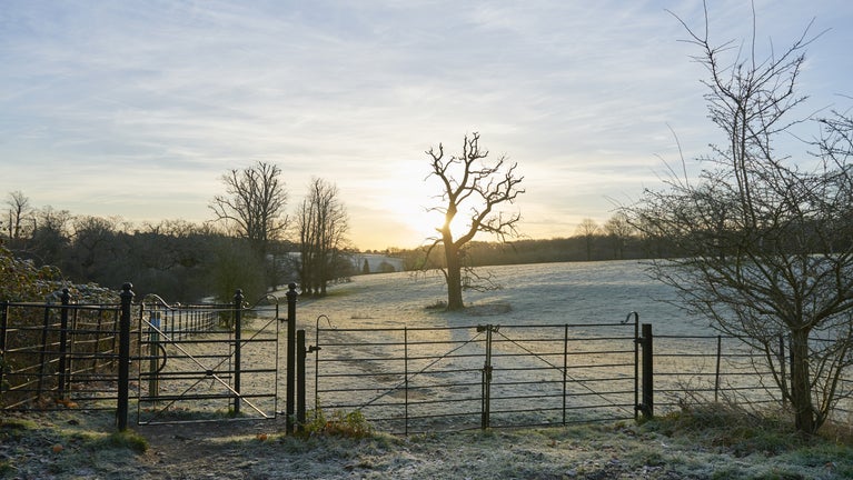 Sunrise above the frosty parkland at Basildon Park, Berkshire